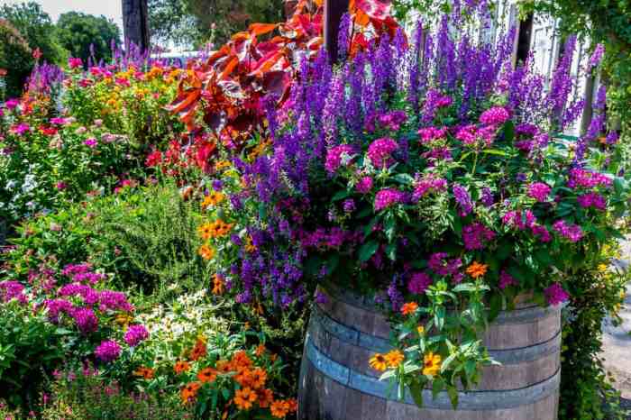 Outdoor Flowers to Plant A Gardeners Guide